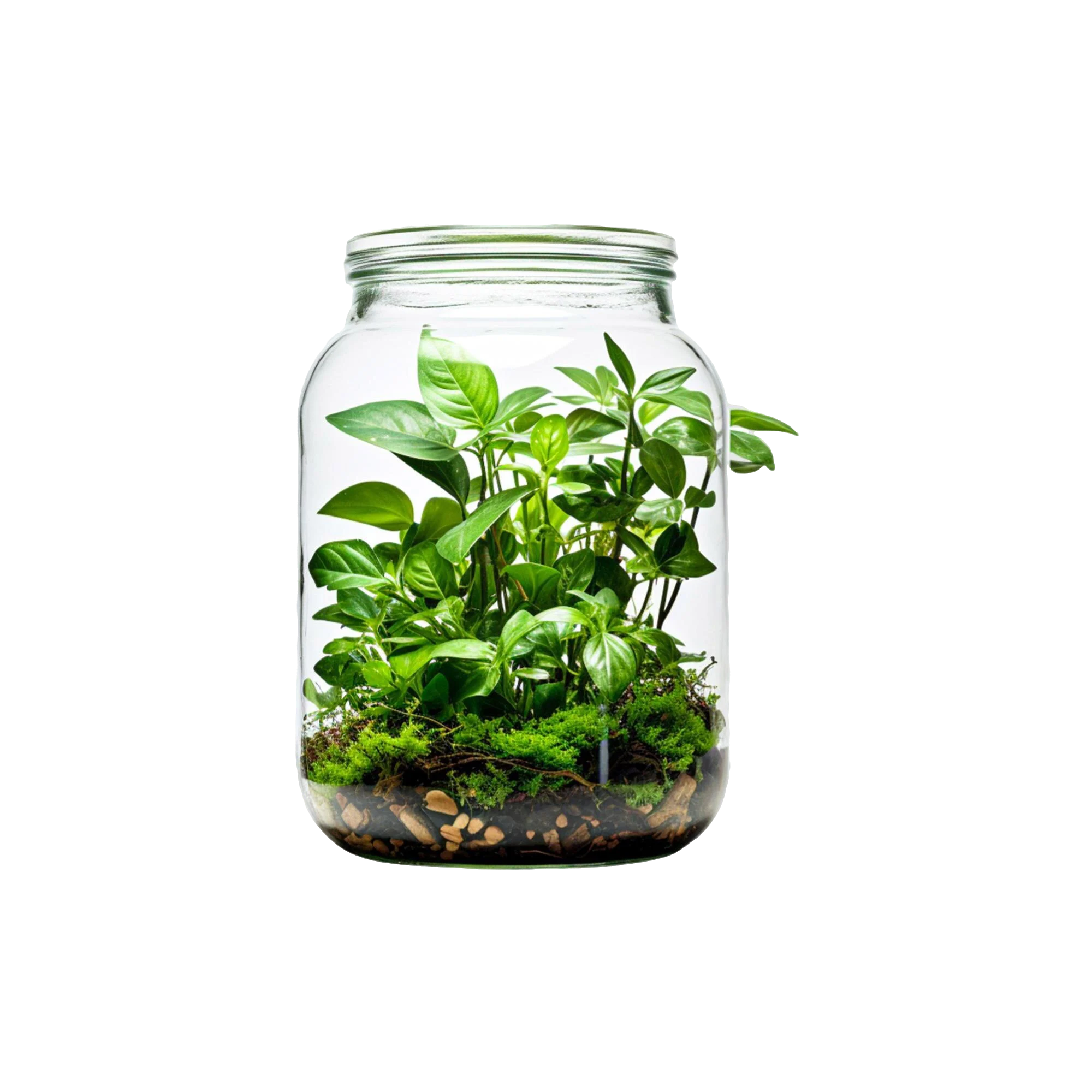 Glass Bottle Manufacturer & Supplier in India